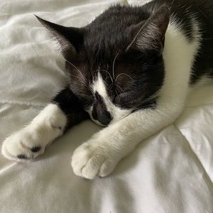 Meet your Posher, Emily